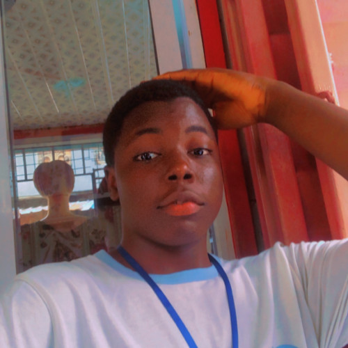 olawale o. profile photo