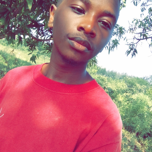 Simon  M. profile photo