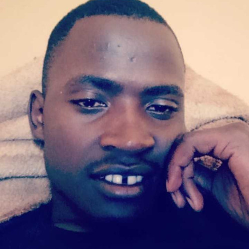 steward m. profile photo