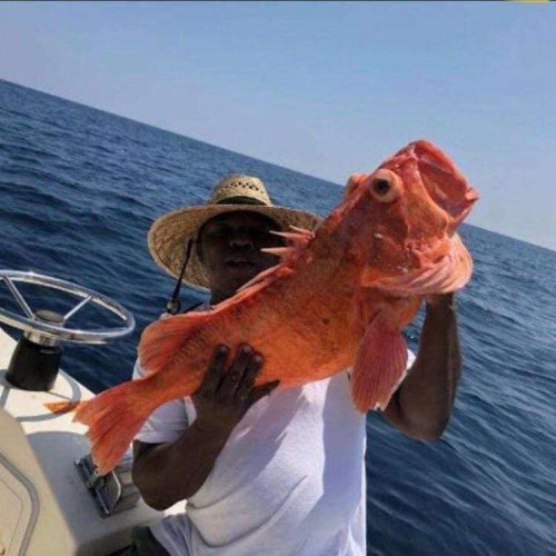 Aaron R. profile photo