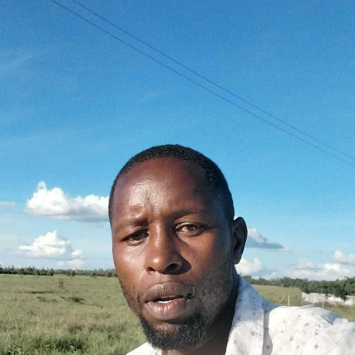 simon k. profile photo