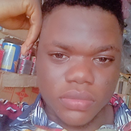 Ayanbiyi E.
