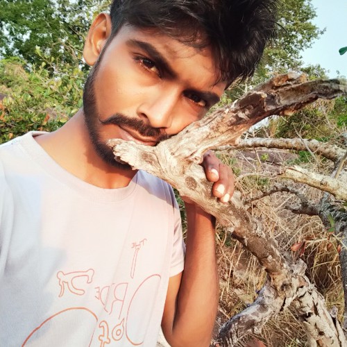 dasun s.