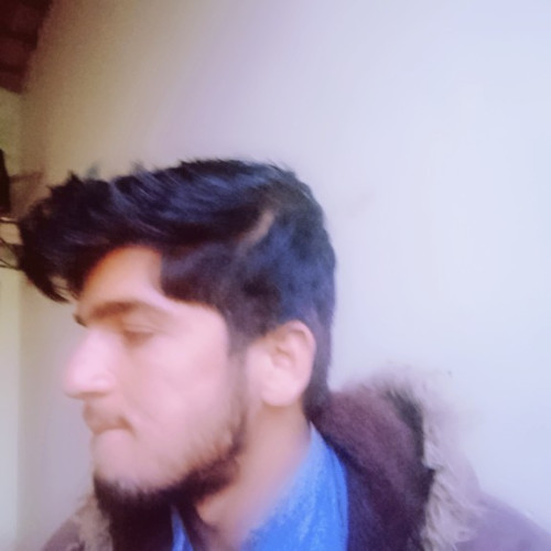 Muhammad N. profile photo