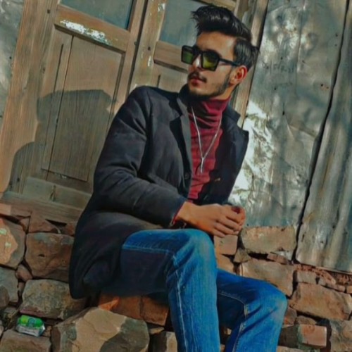 Hussnain A.