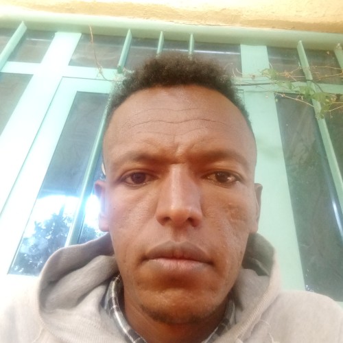 Aynalem Z.