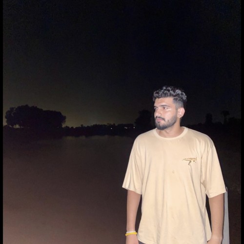 Nikhil S.