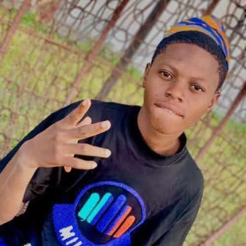 Salifu  A. profile photo