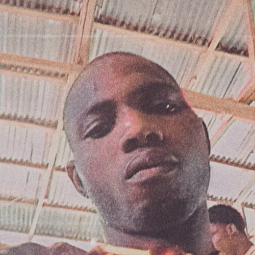 Olanrewaju  O. profile photo