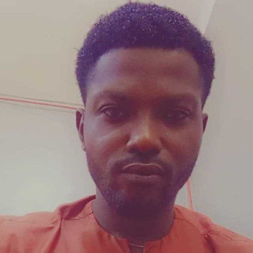 nwosu l.