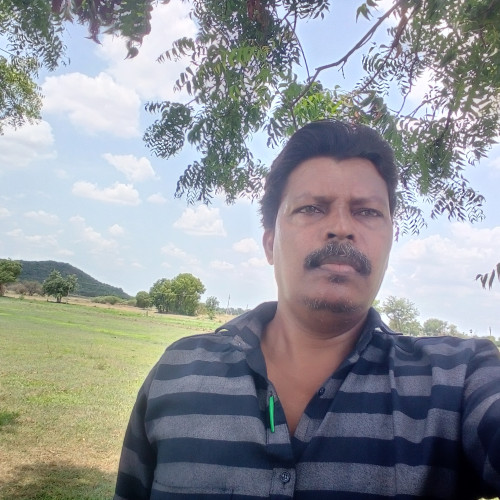 daivakripachary s. profile photo