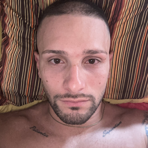 Daniel D. profile photo