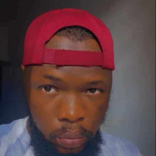 Chibuikem E. profile photo