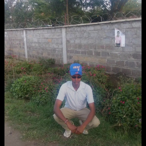 Simon  N. profile photo