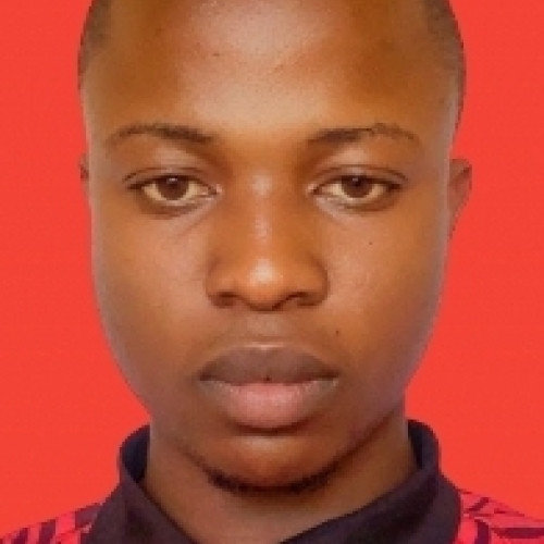 Ayo O. profile photo