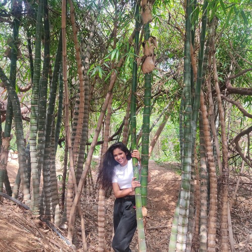 Nandini A. profile photo