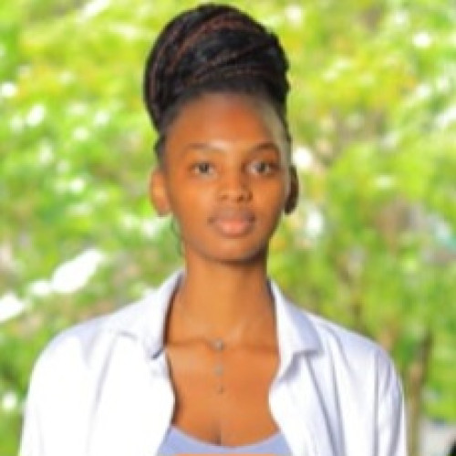 Lisa N. profile photo