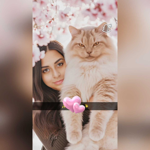 Noorulicious B. profile photo