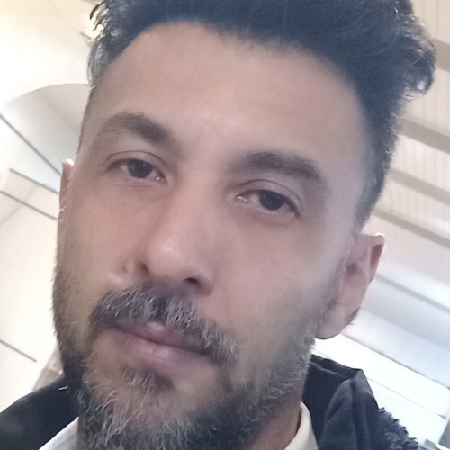 reza h. profile photo