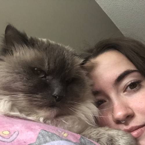 ashley c. profile photo