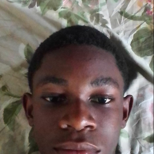 Ukechi  O. profile photo