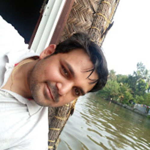 Raman K. profile photo