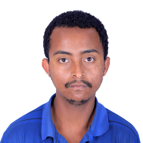 Tinsae  N. profile photo