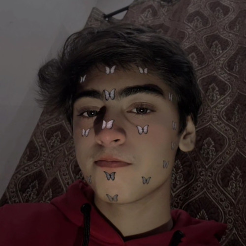 Ahmad  Z. profile photo