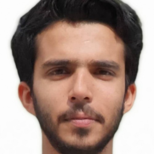 Ali H.