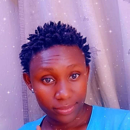 valentine n. profile photo
