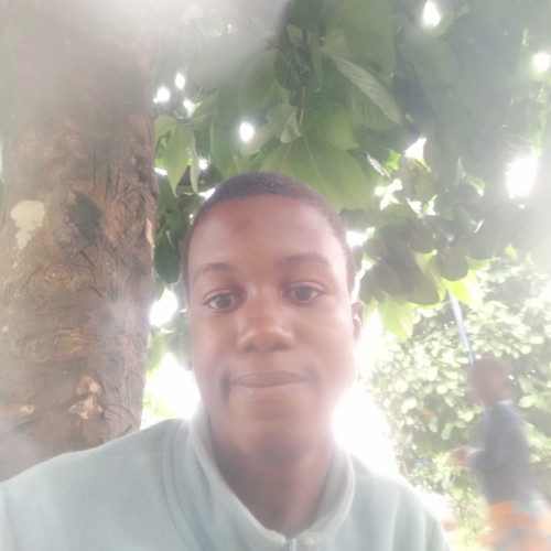 GODBLESS N. profile photo