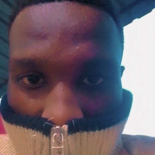 max M. profile photo