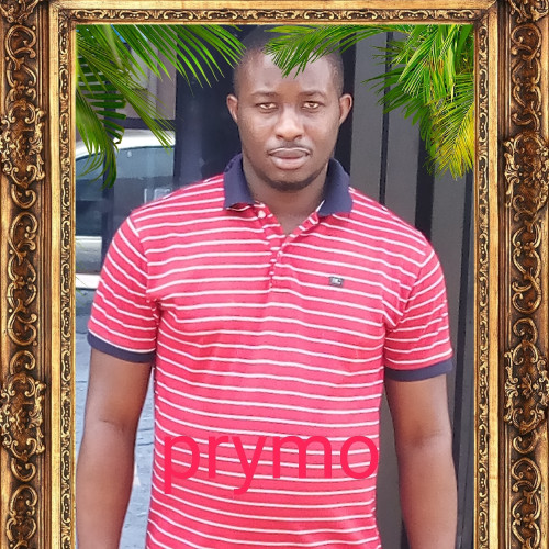 Nnaemeka O. profile photo
