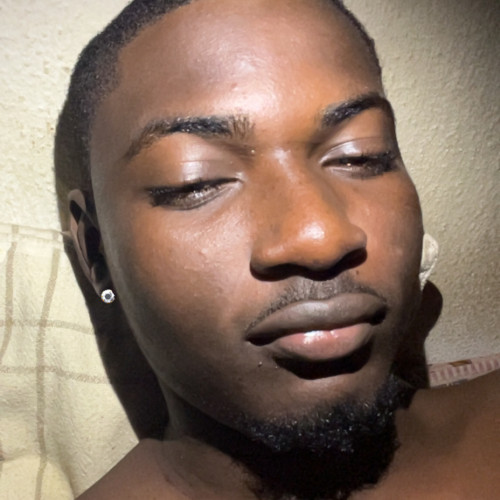 Daphiel M. profile photo