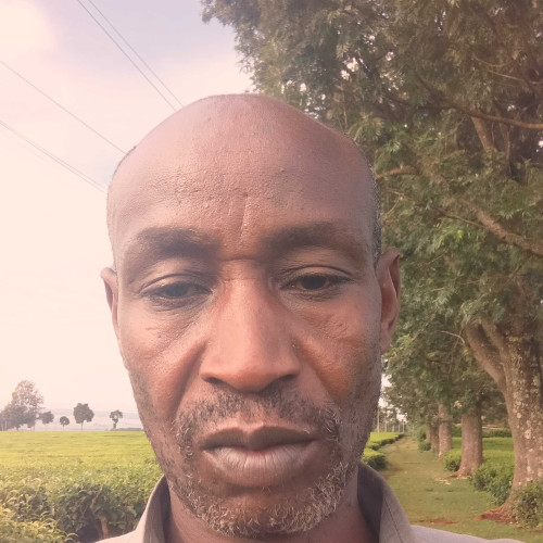 Patrick L. profile photo