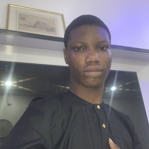 Oluwatomisin A. profile photo