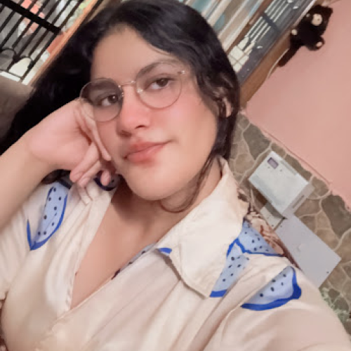 Irameet K. profile photo