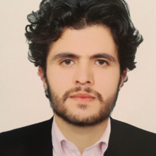 Ehsan N.