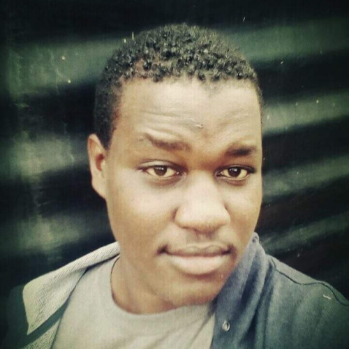 Daniel M. profile photo