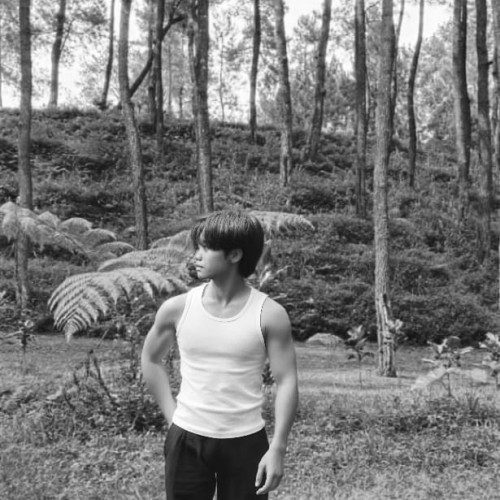 ael n. profile photo
