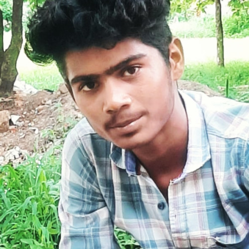 Deva D. profile photo