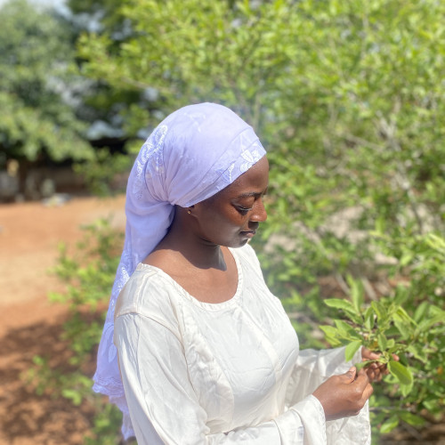 Abdulai  F. profile photo