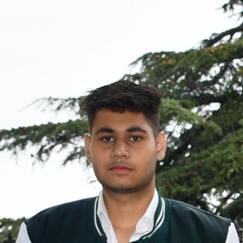 Vaibhav K.