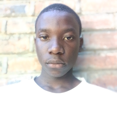 Dominic M. profile photo