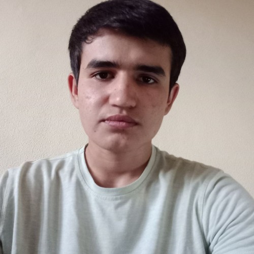 Bekhruz S.