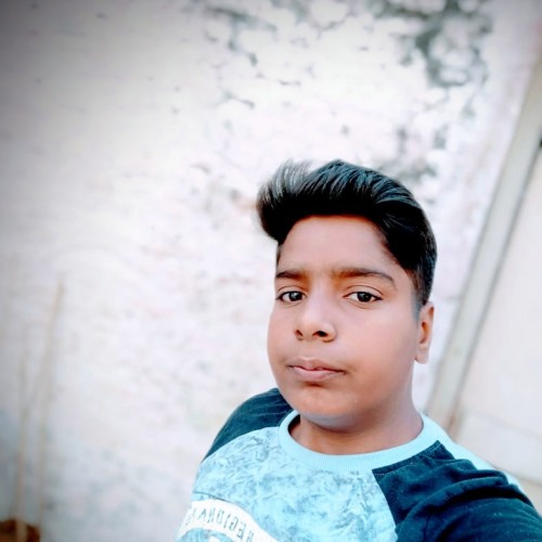 Dheeraj K.