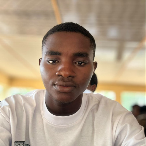 Aloysius  A. profile photo