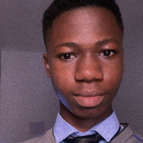Oketunde D. profile photo