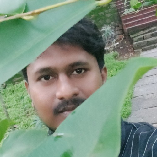 Rajesh P. profile photo