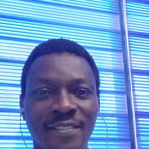 OGUNYEMI O. profile photo